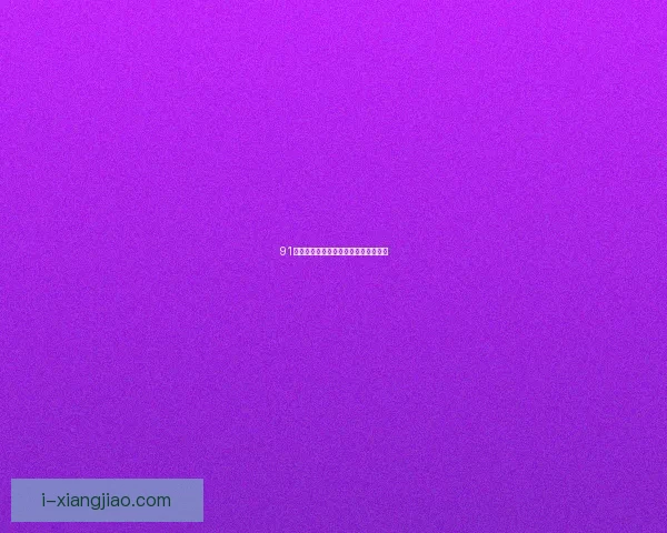 91免费网：点亮数字生活，解锁无限可能